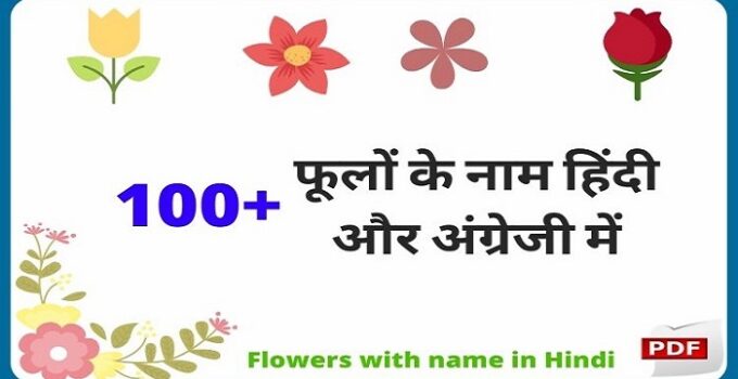 10 Flowers Name In Hindi Archives Jankari Hub Best Books For All Competitive Exams 10 Flowers Name In Hindi Archives Jankari Hub Best Books For All Competitive Exams