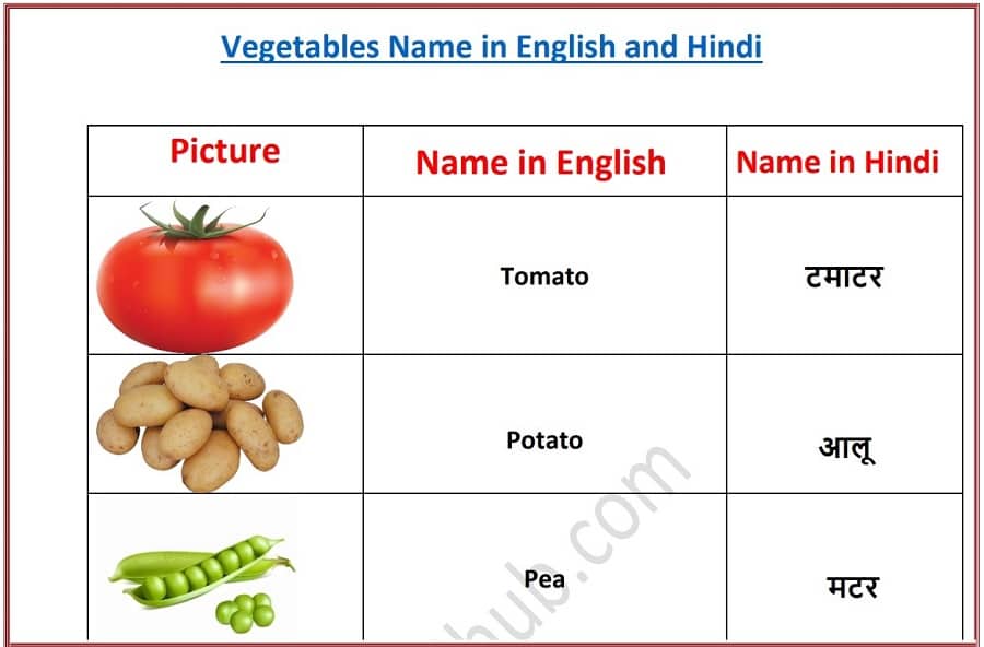 Vegetables Name with Picture